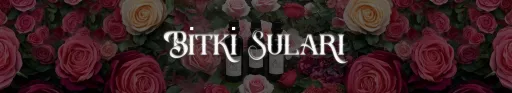 Hidrosoller(Bitki Suları)