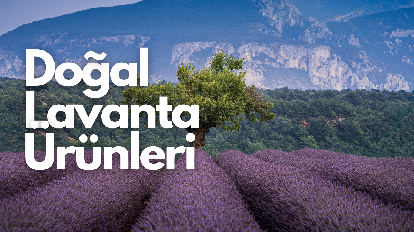 Lavanta Ürünleri